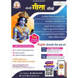 Learngeeta Pamphlets Set of 250pc